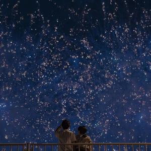 插入美女老师的穴
