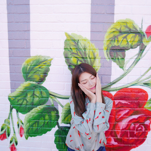 插入美女老师的穴
