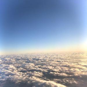 插入美女老师的穴
