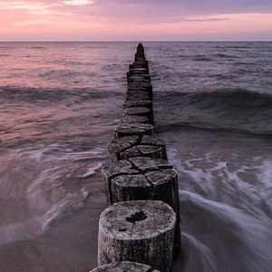 插入美女老师的穴
